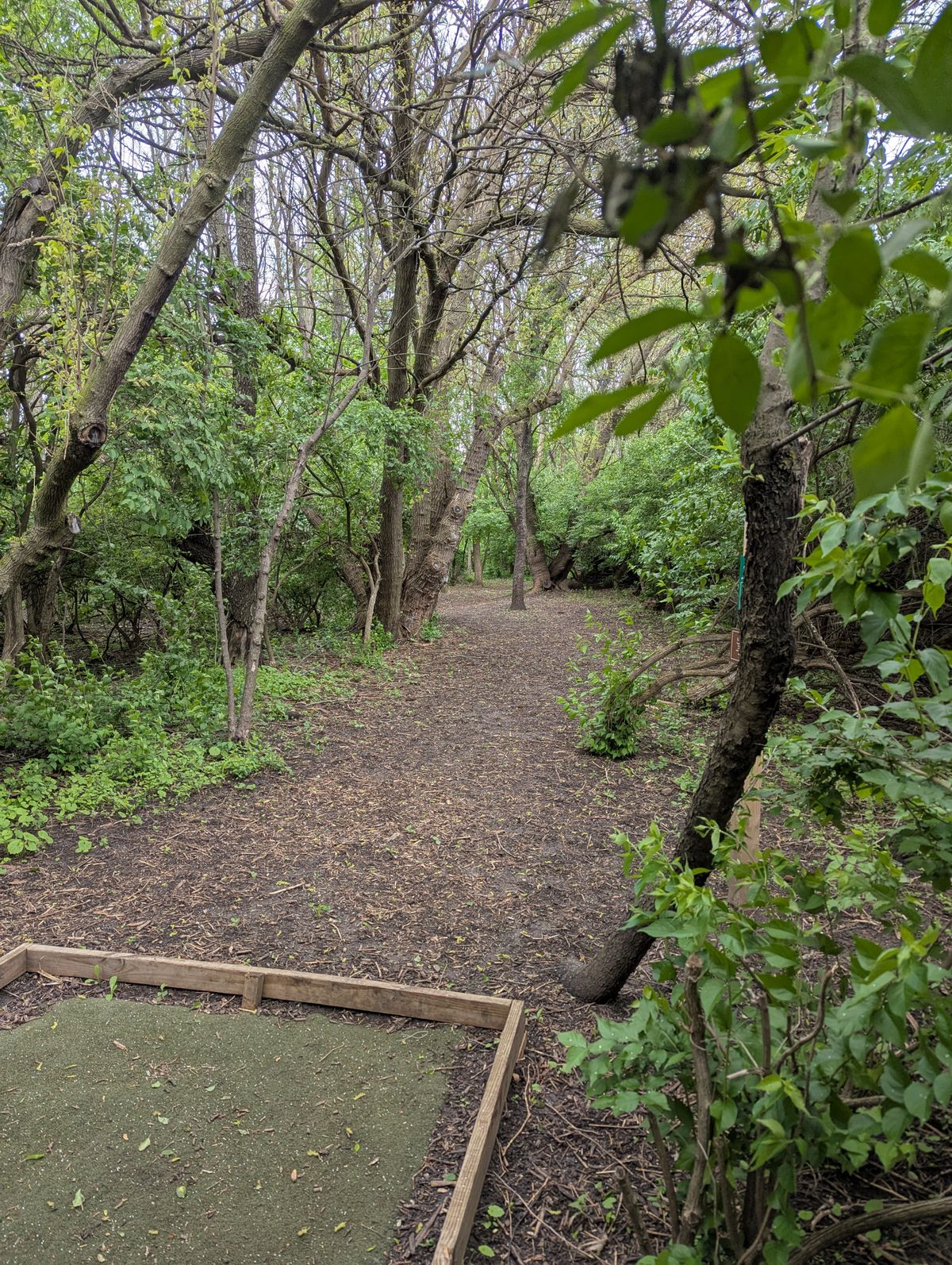 Hole 15