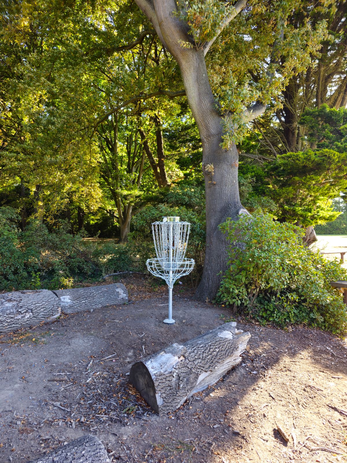 Hole 3 Basket