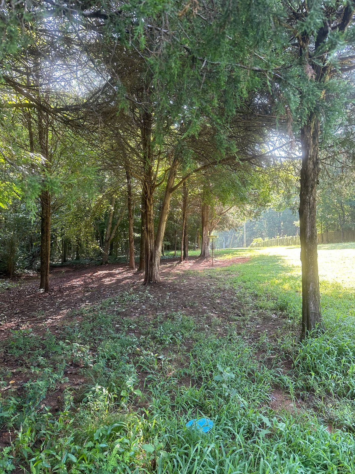 #1 green