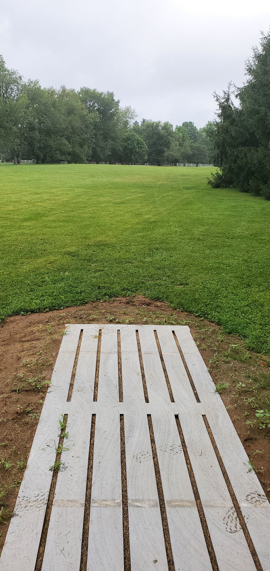 Hole 4 tee pad