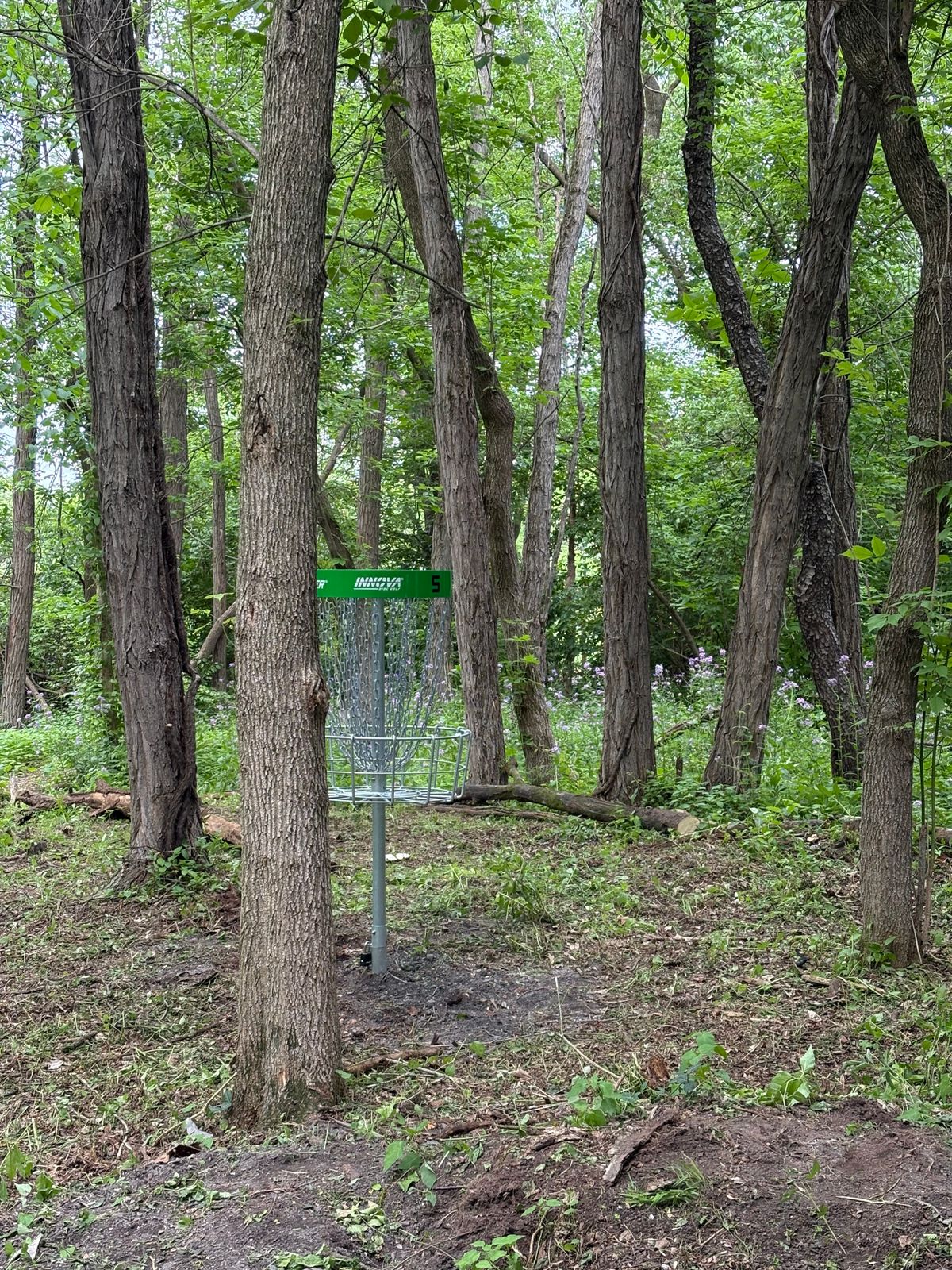Hole 5