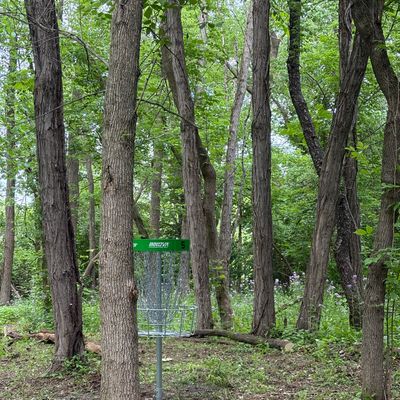 Hole 5