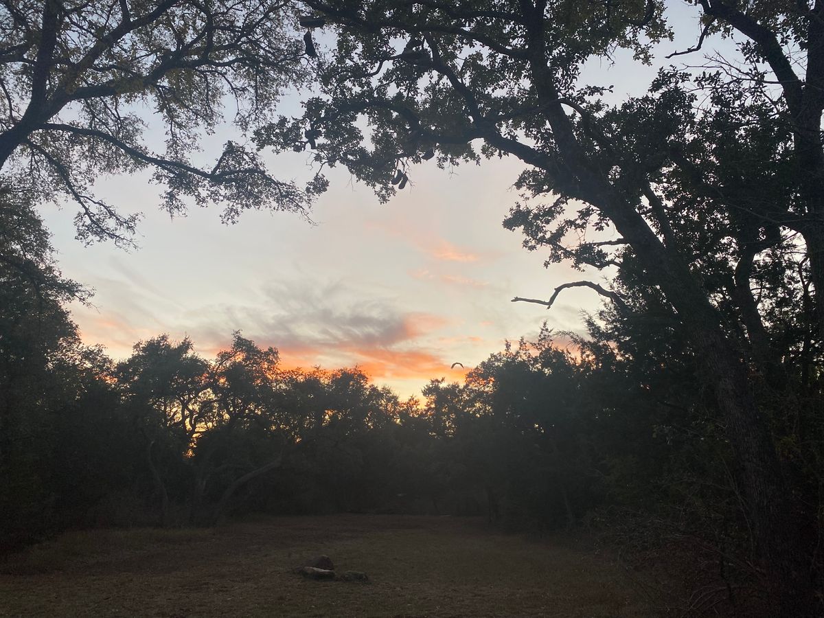 Hole #11 ( sunset 🦅 )