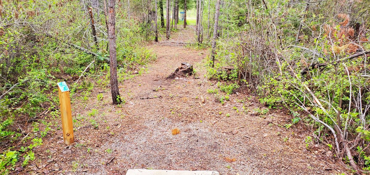 Tee Pad 7