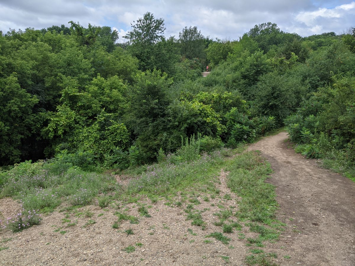 Looking back at tee pad from near hole.