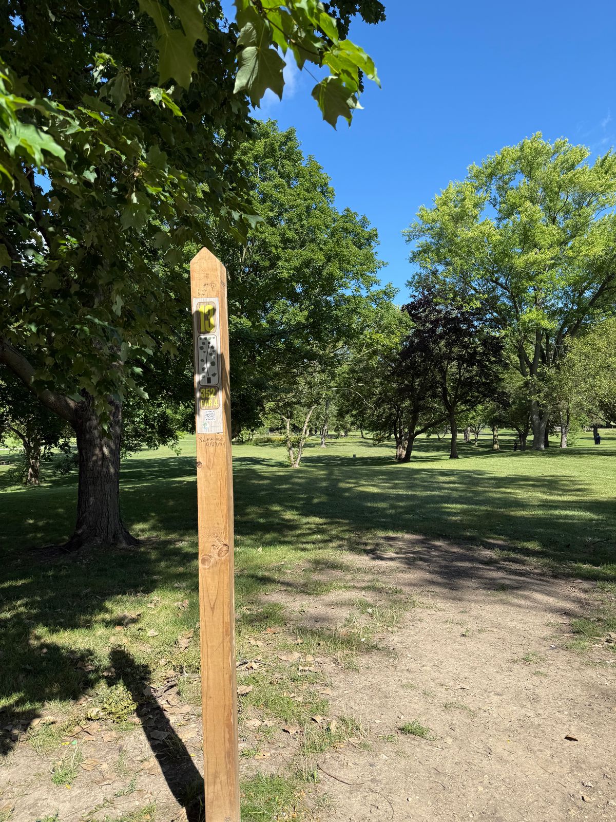 Tee 13