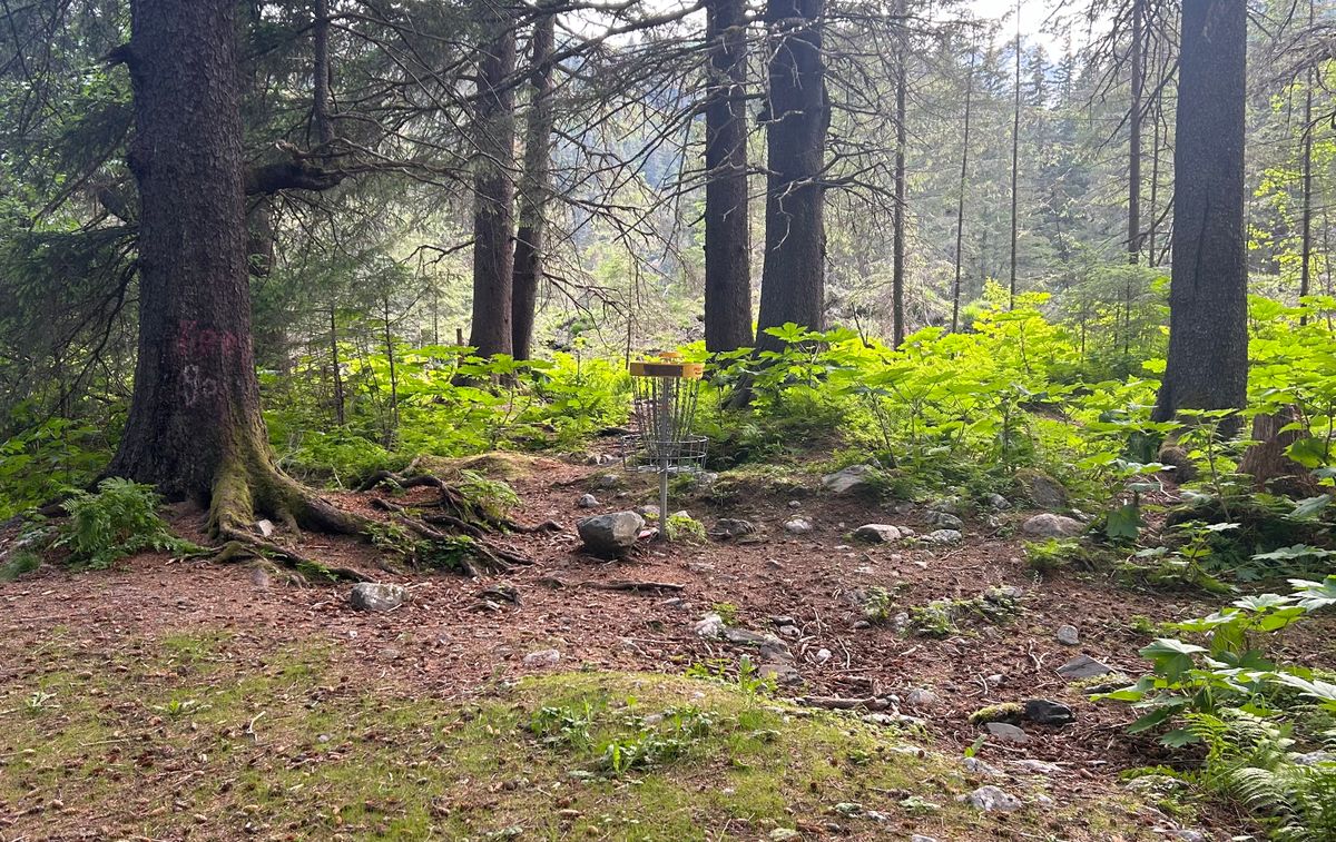Hole 5 green
