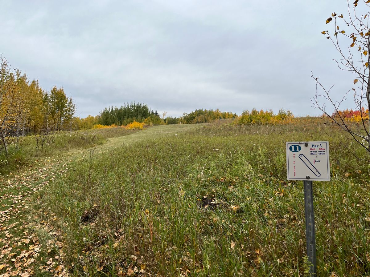 Hole 11