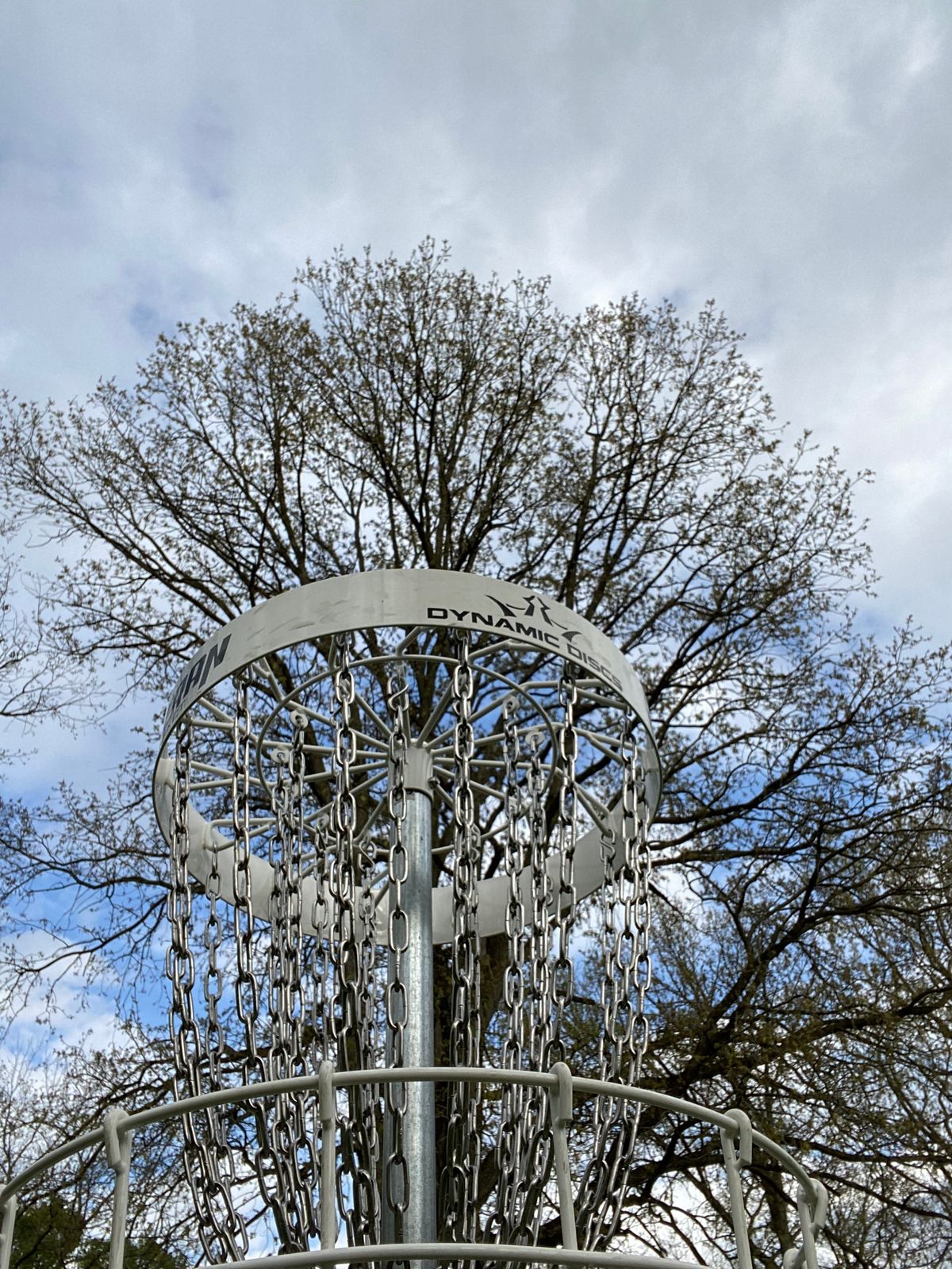 Tall Trees backdrop this Dynamic Disc Veteran Basket