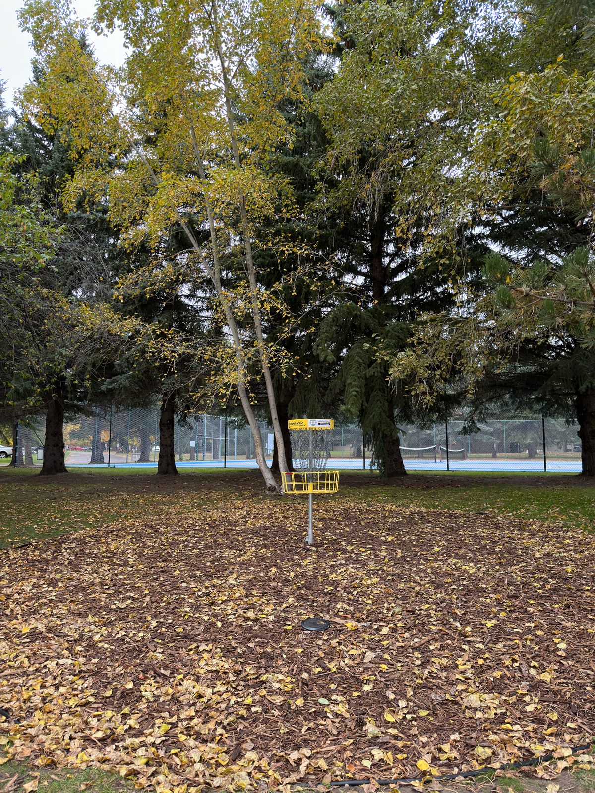 Hole 8 in fall