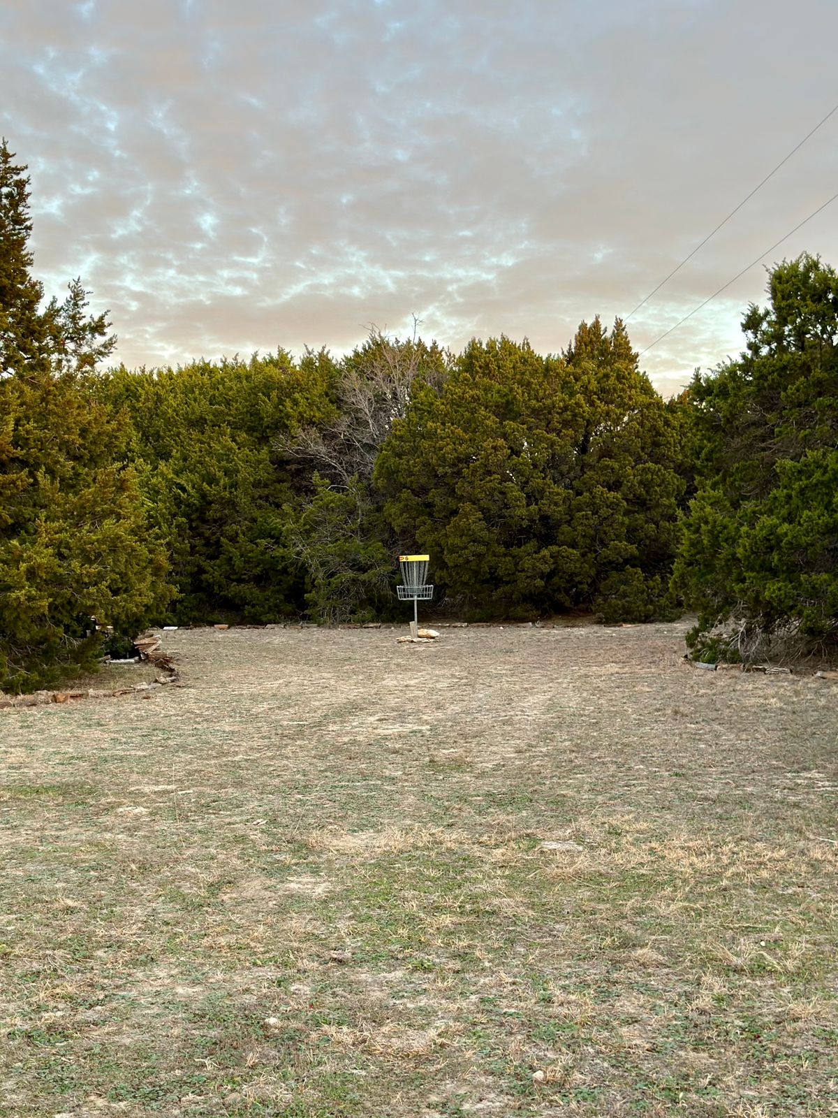 Basket with OB Boundary at #8