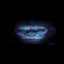 User avatar image
