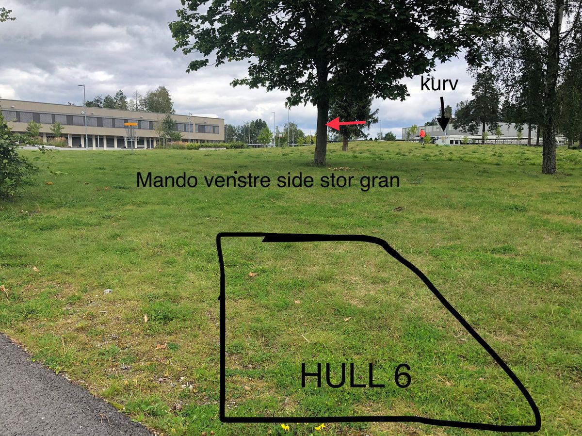 Hull 6. Mando til venstre for stor gran. Ved bom dropzone venstre side ved grana.