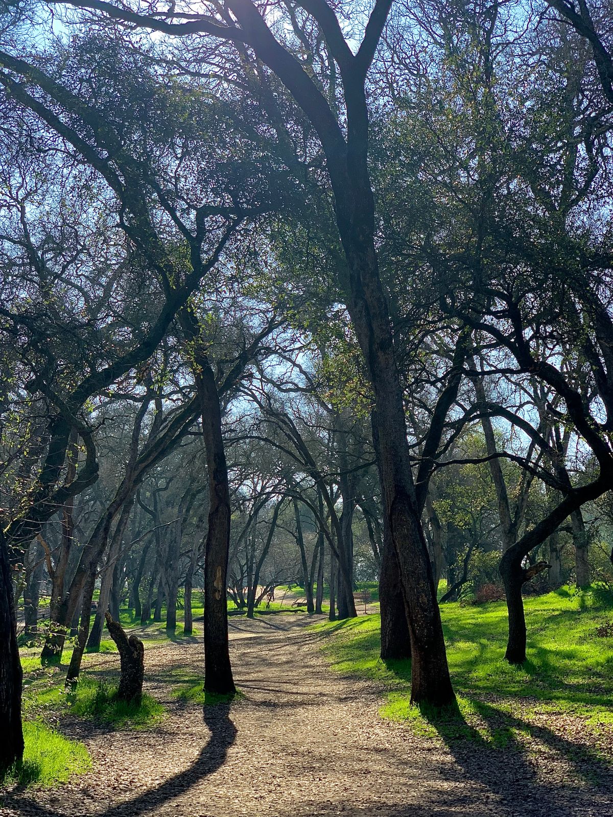 Hole 16.