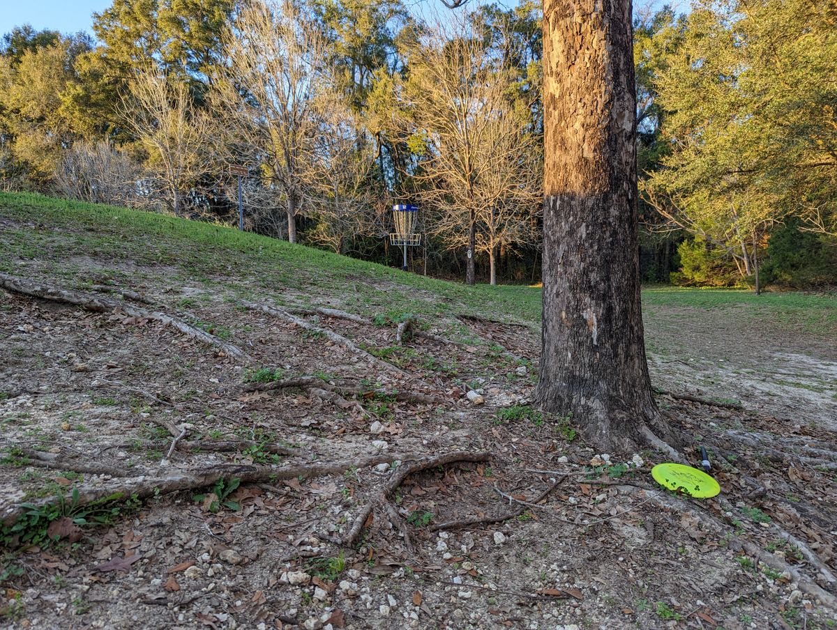 Birdie look on 12