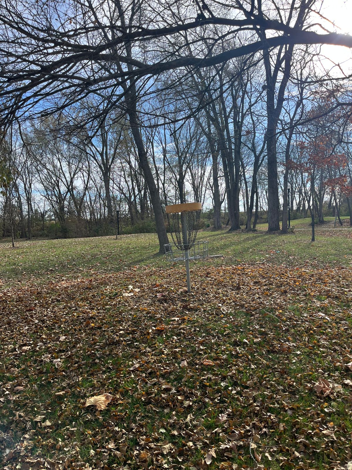 Hole 9 Basket