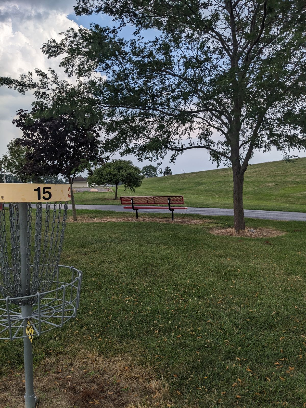 Hole 15 Basket