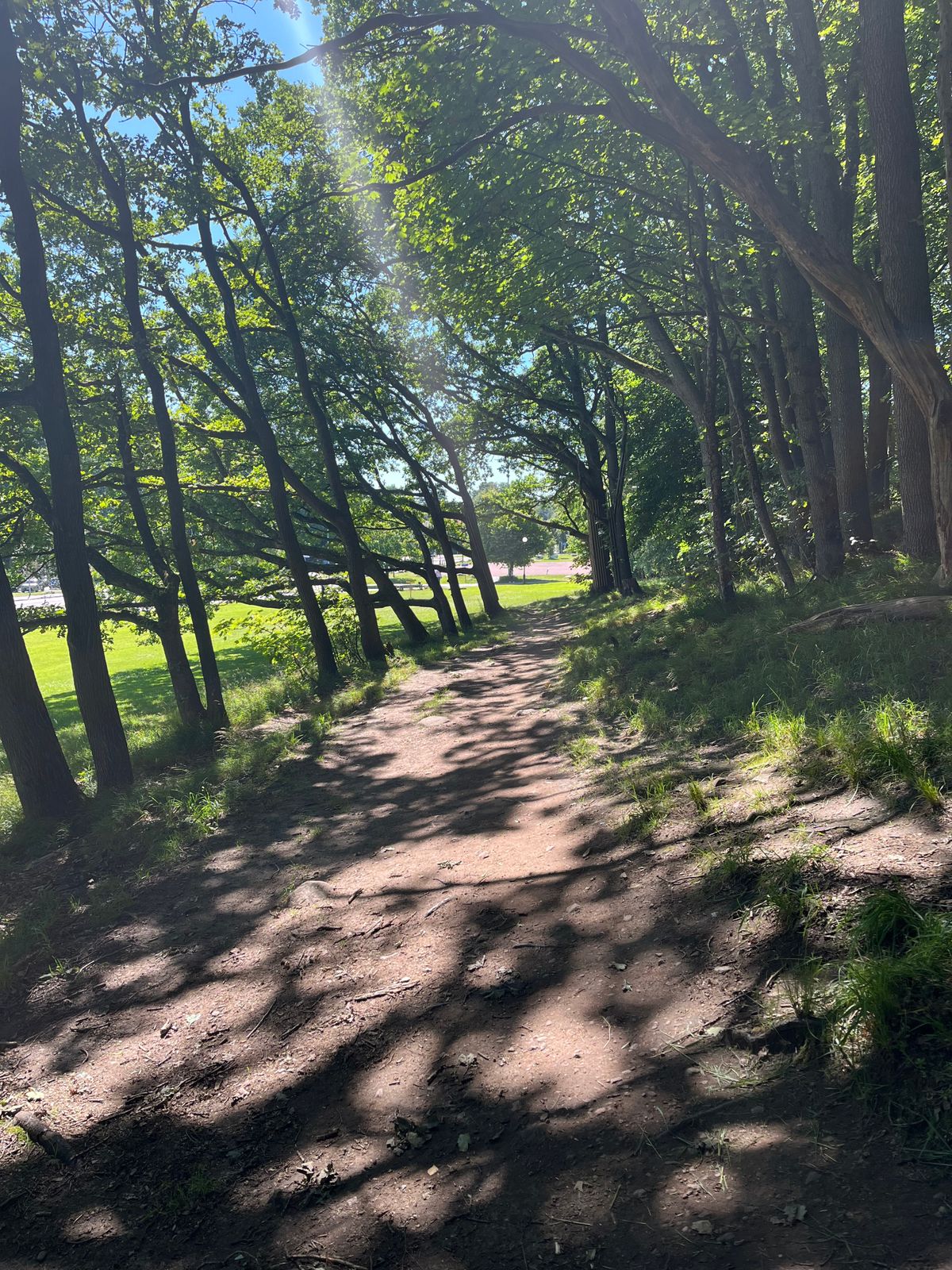 Hole 5 on the yellow course