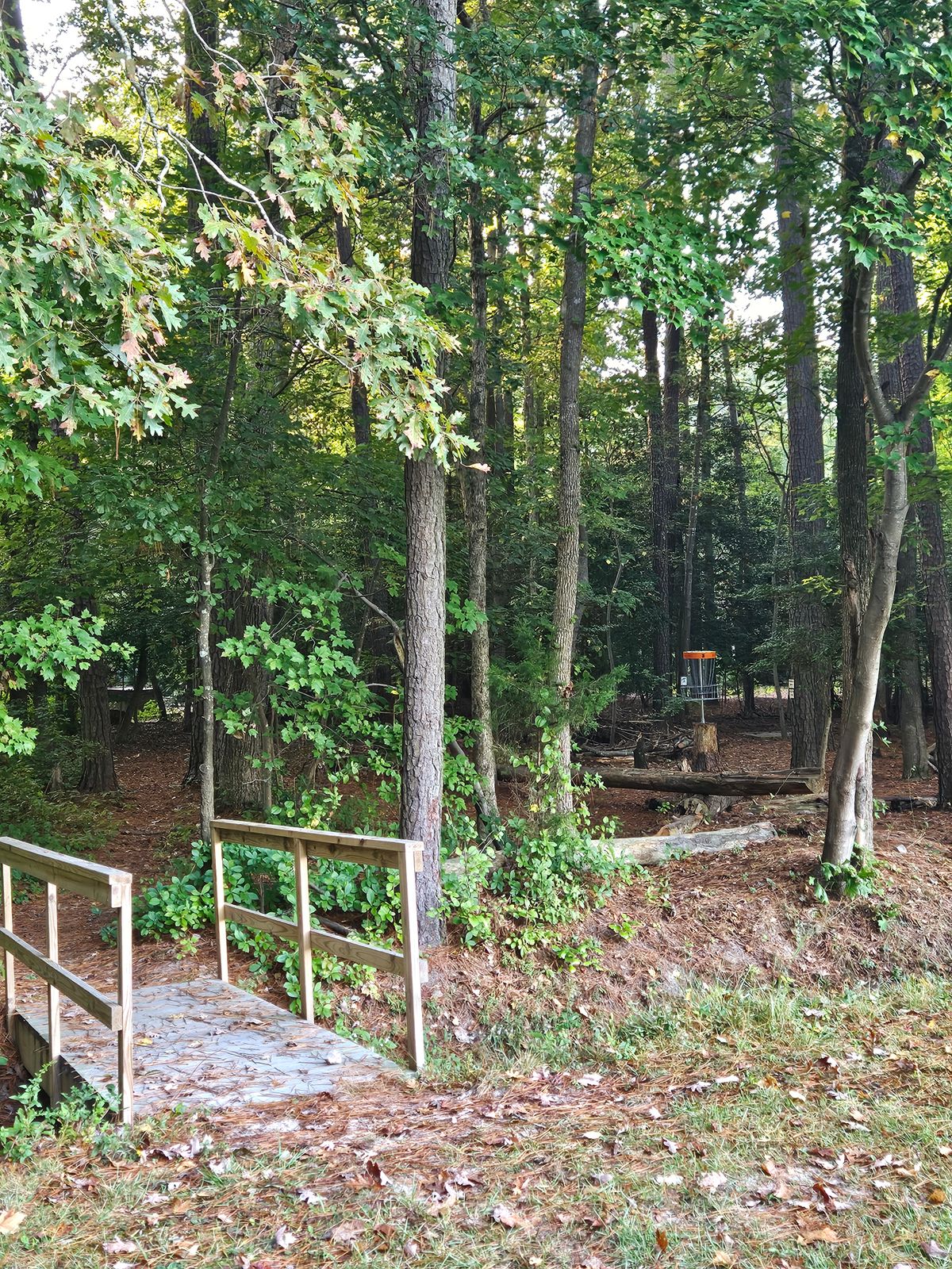 Bridge to hole 3 landing zone