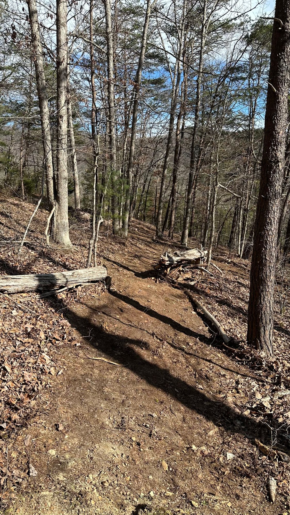 Alternate back 9 / Wilson