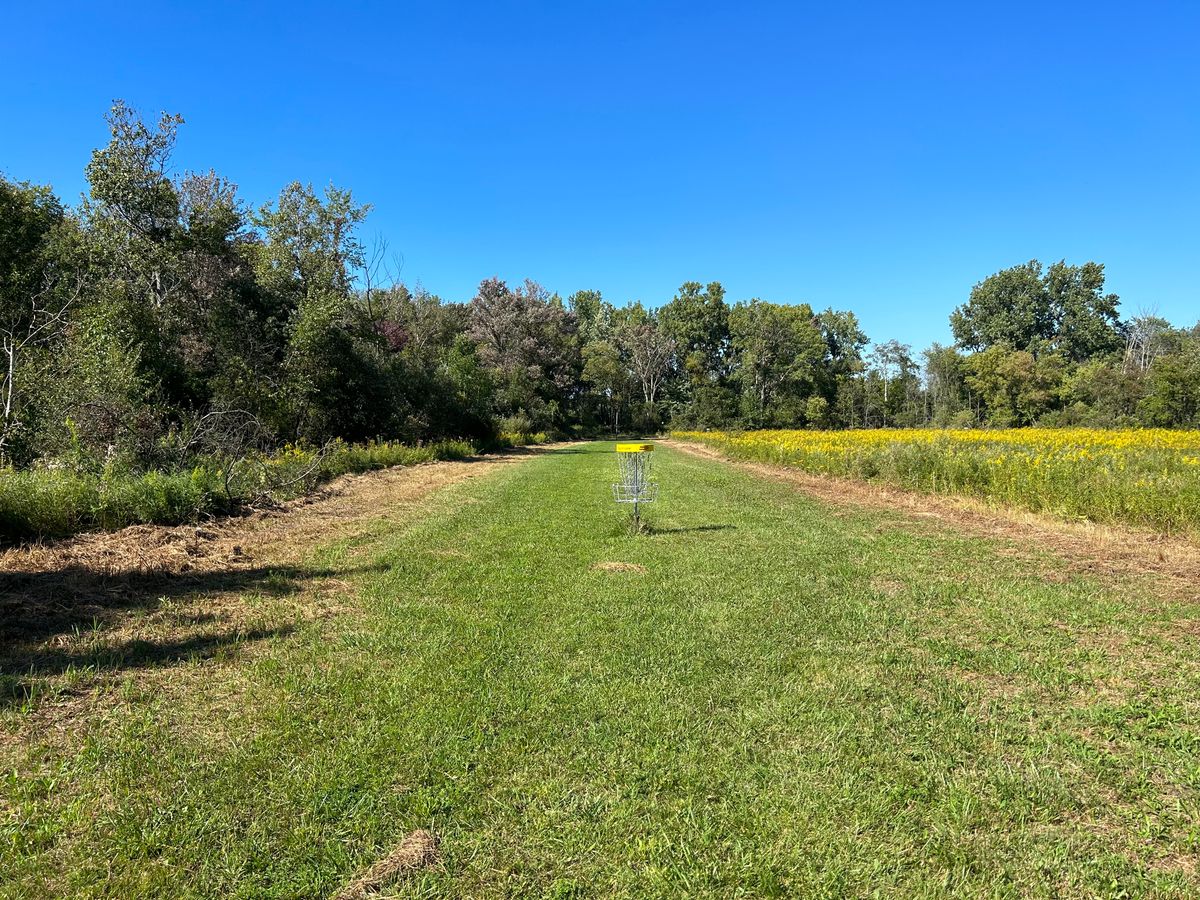Hole 8