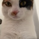 User avatar image