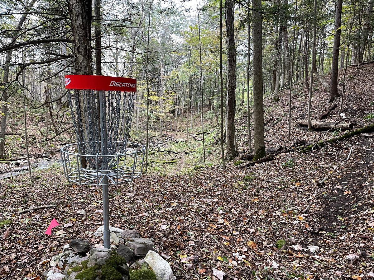 D Basket to Tee