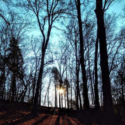 Good morning sunshine