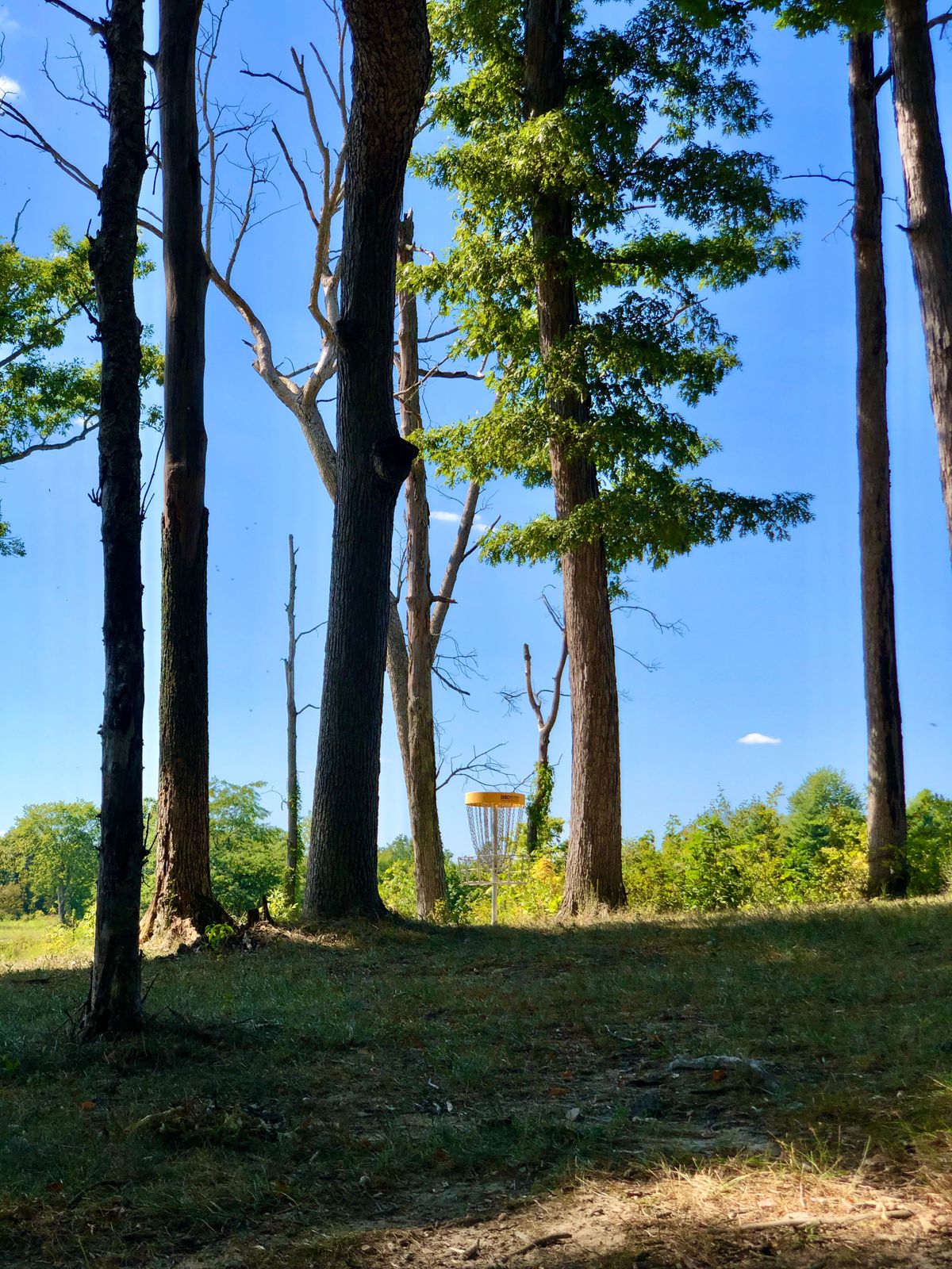 Hole 1 basket
