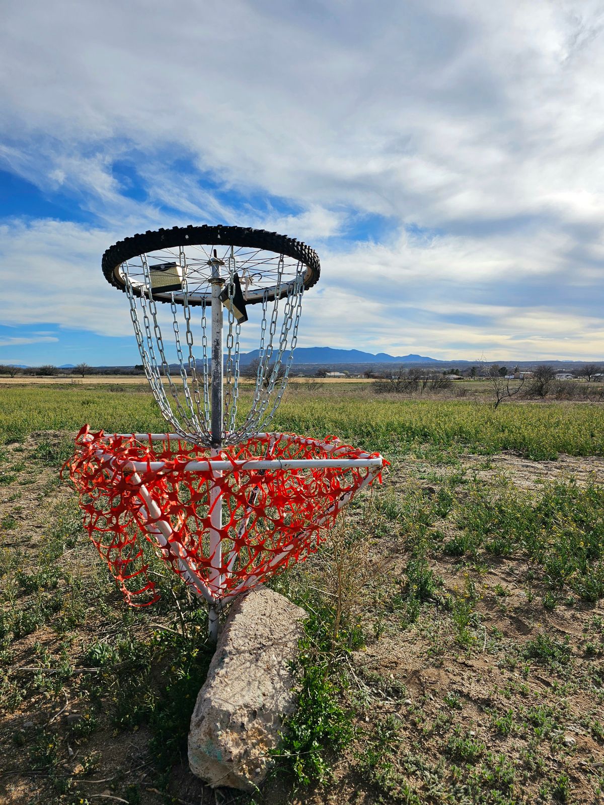 Basket 7
