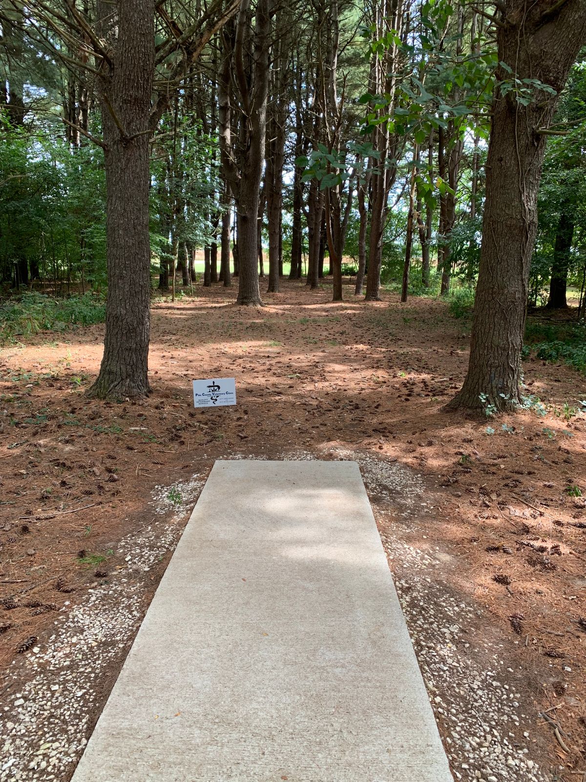Hole 4 Tee Shot