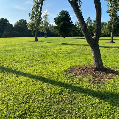 Open park view 2