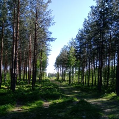 Väylä #17 (4.6.2021).