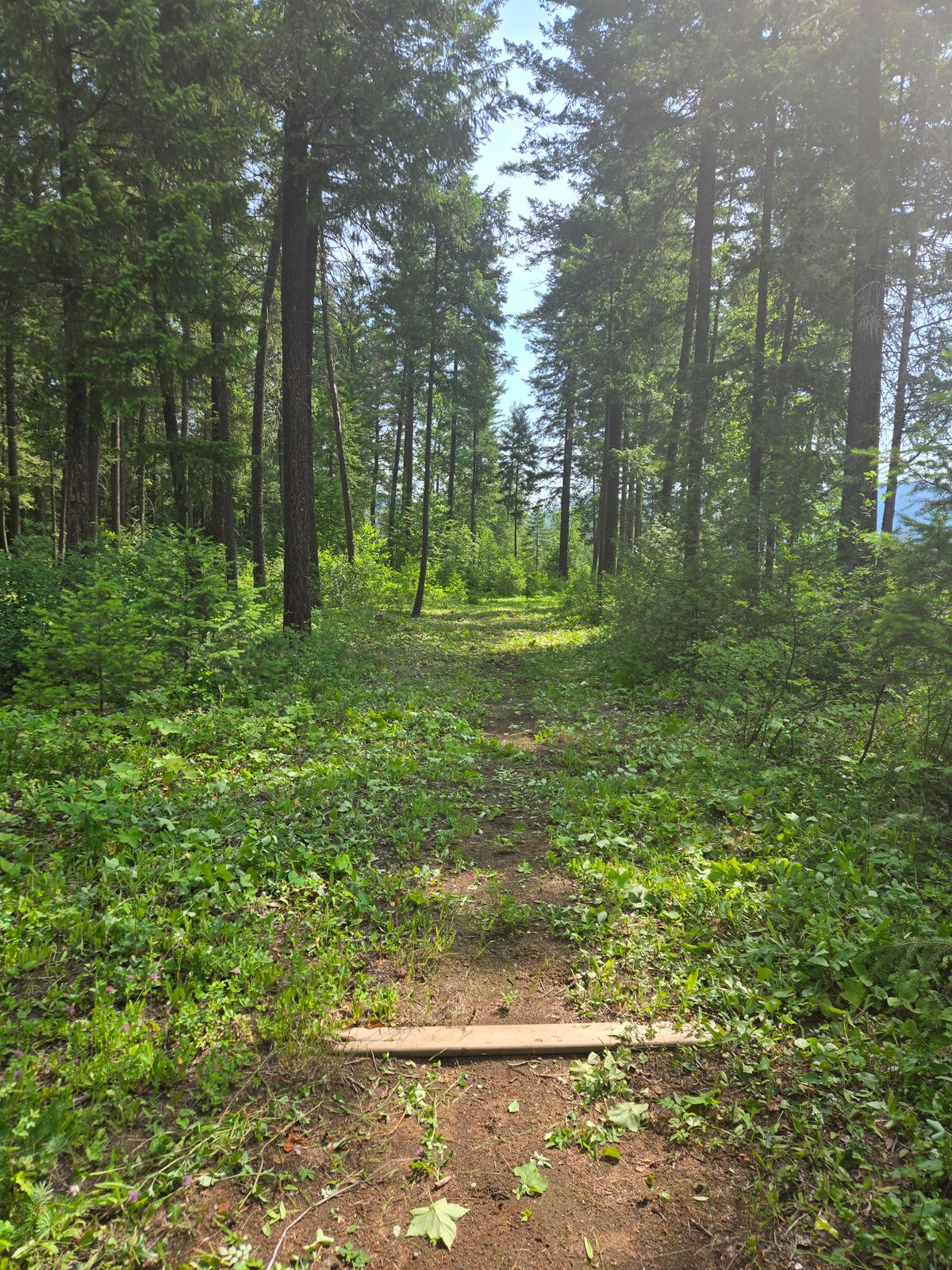 Hole 5