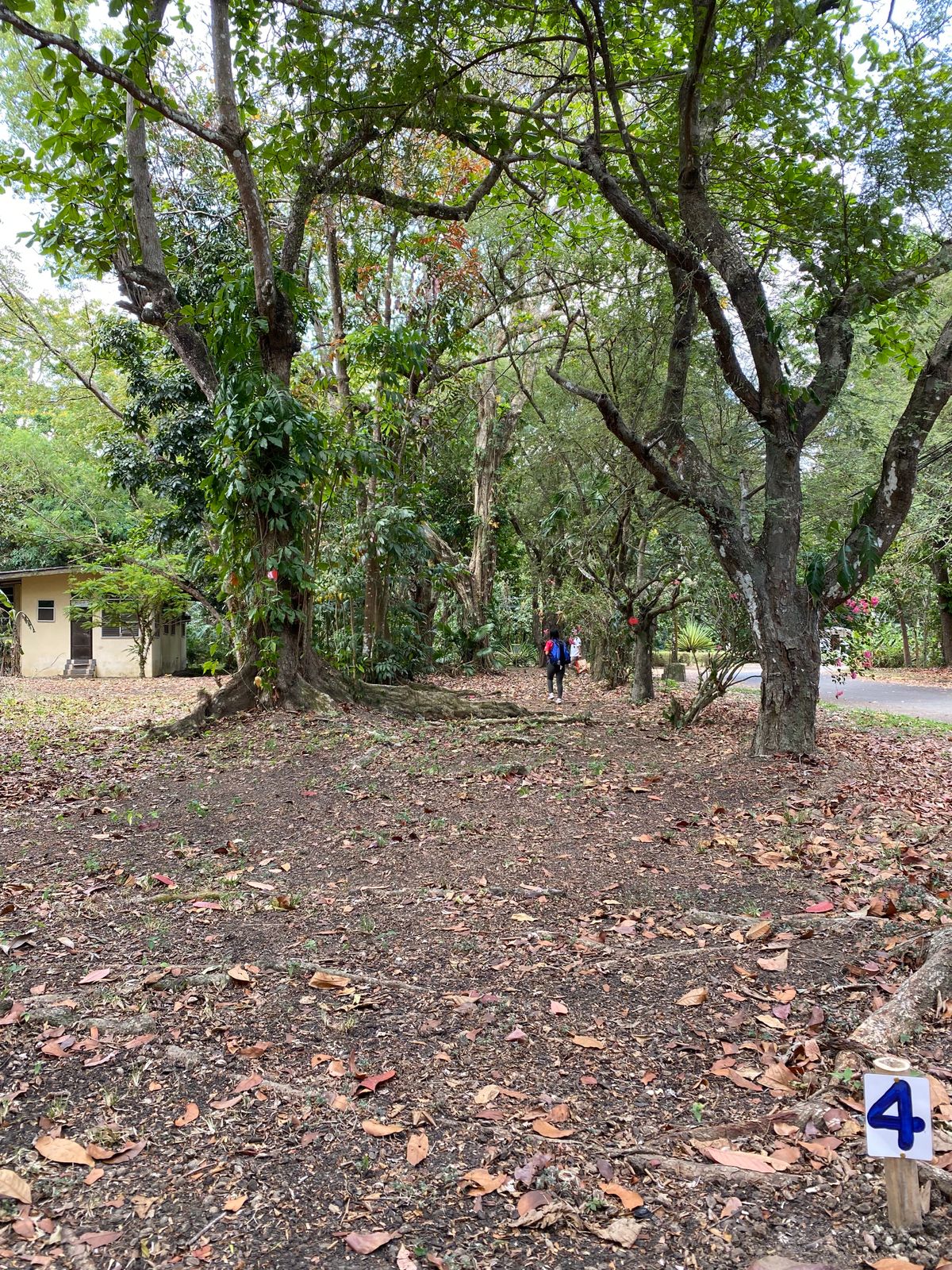 Hole 4