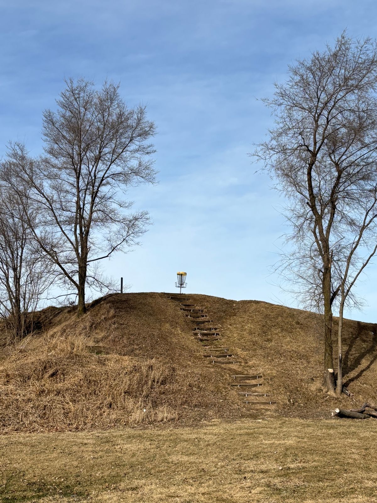 Hole 6 basket