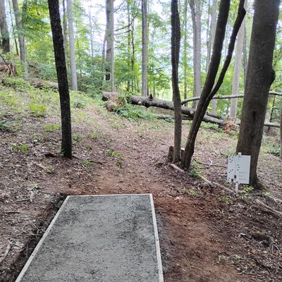 Updated teebox hole 2