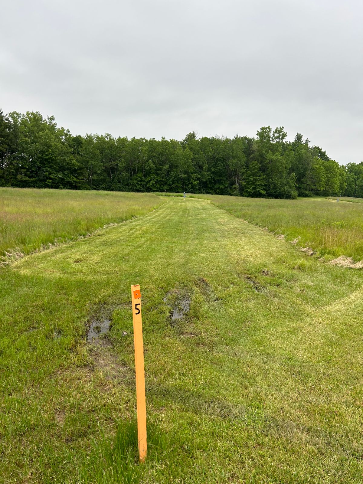 Hole 5 tee