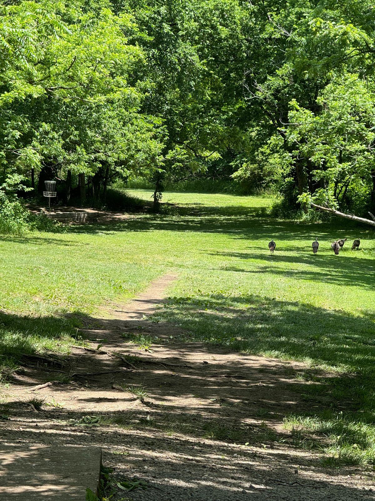 Some friends on hole 2