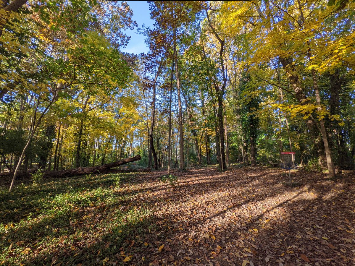 Hole 15's green in November.