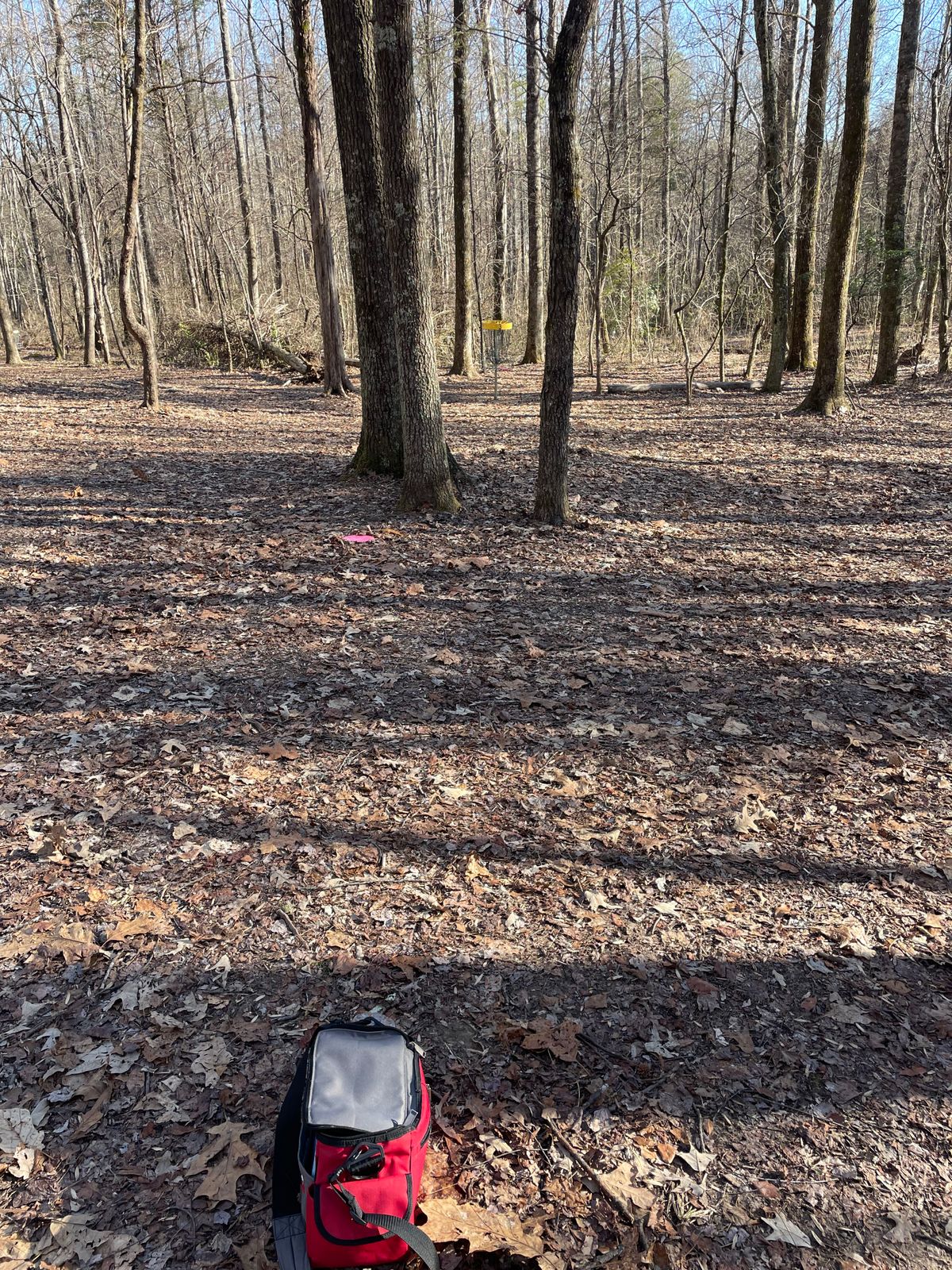 Hit a shot from where the bag is, stoked!
Short basket at hole 3
