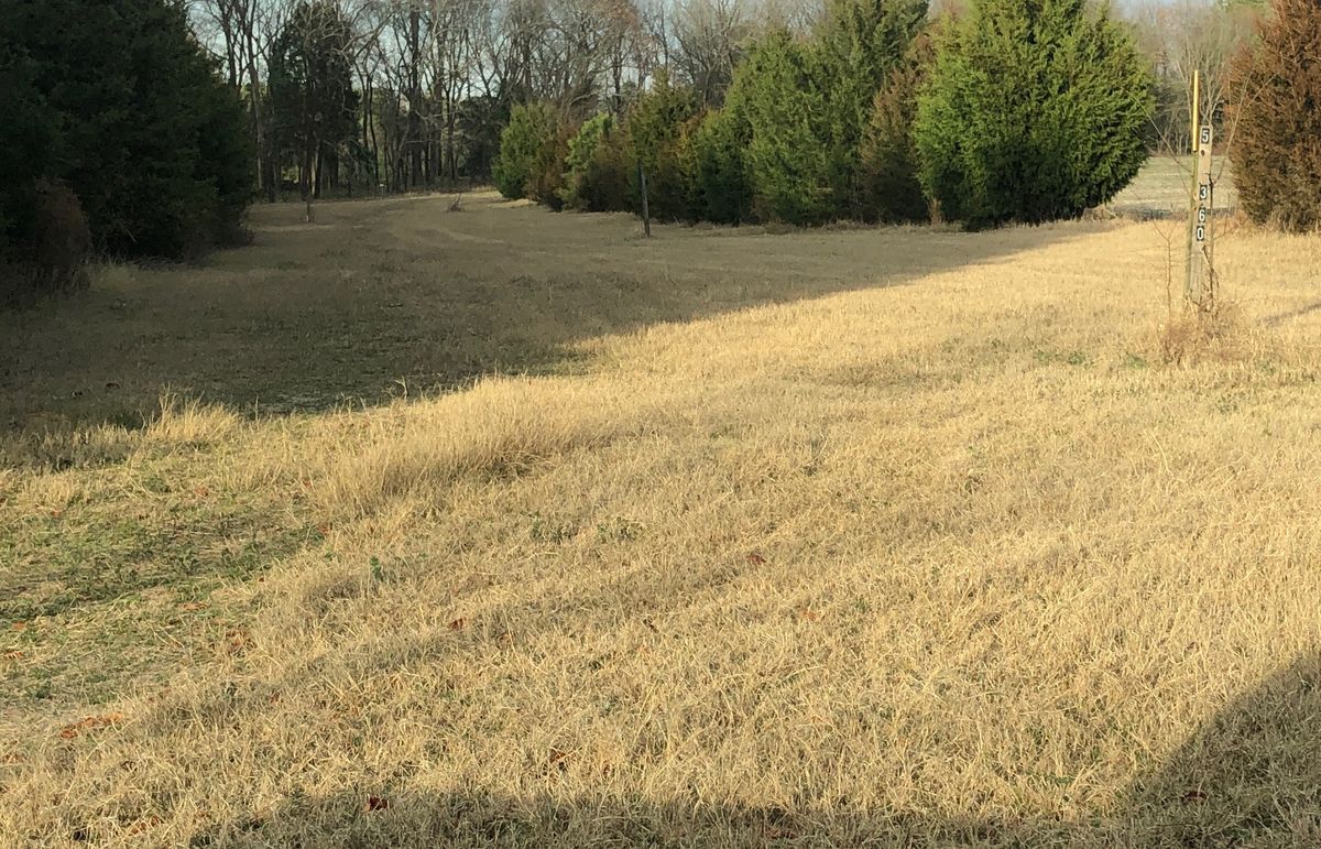 Hole 5