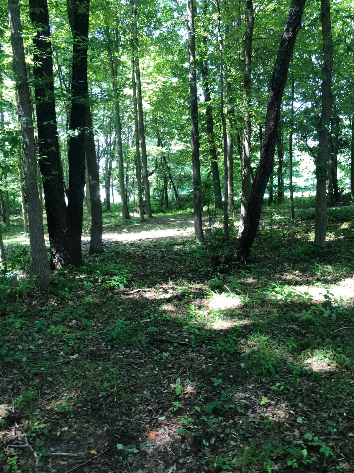 7’s fairway