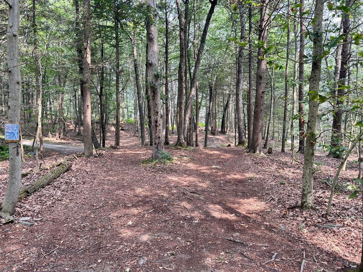 Hole 12