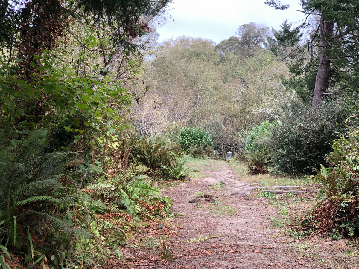 Hole #8