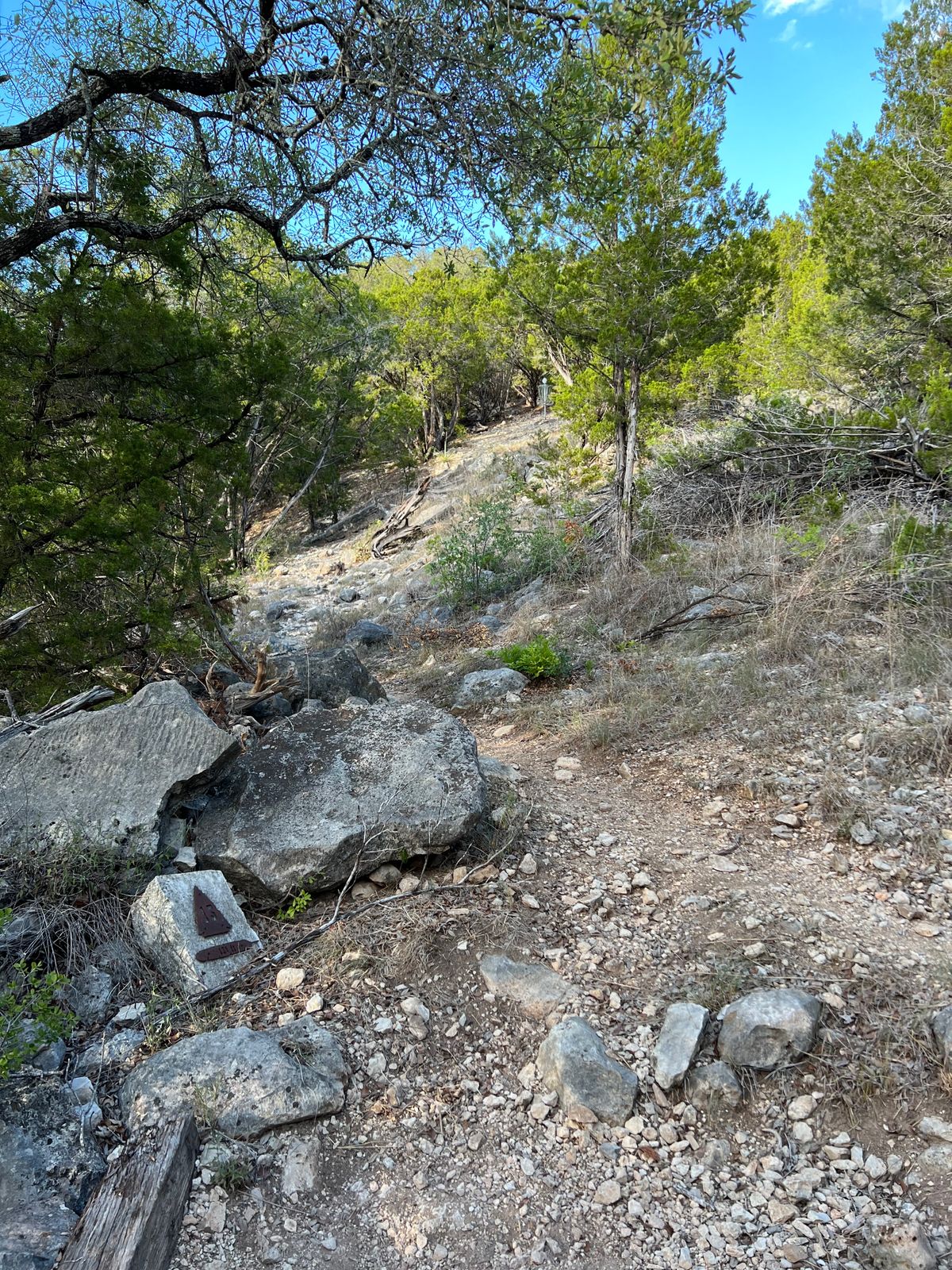 Hole #13 Main Tee
