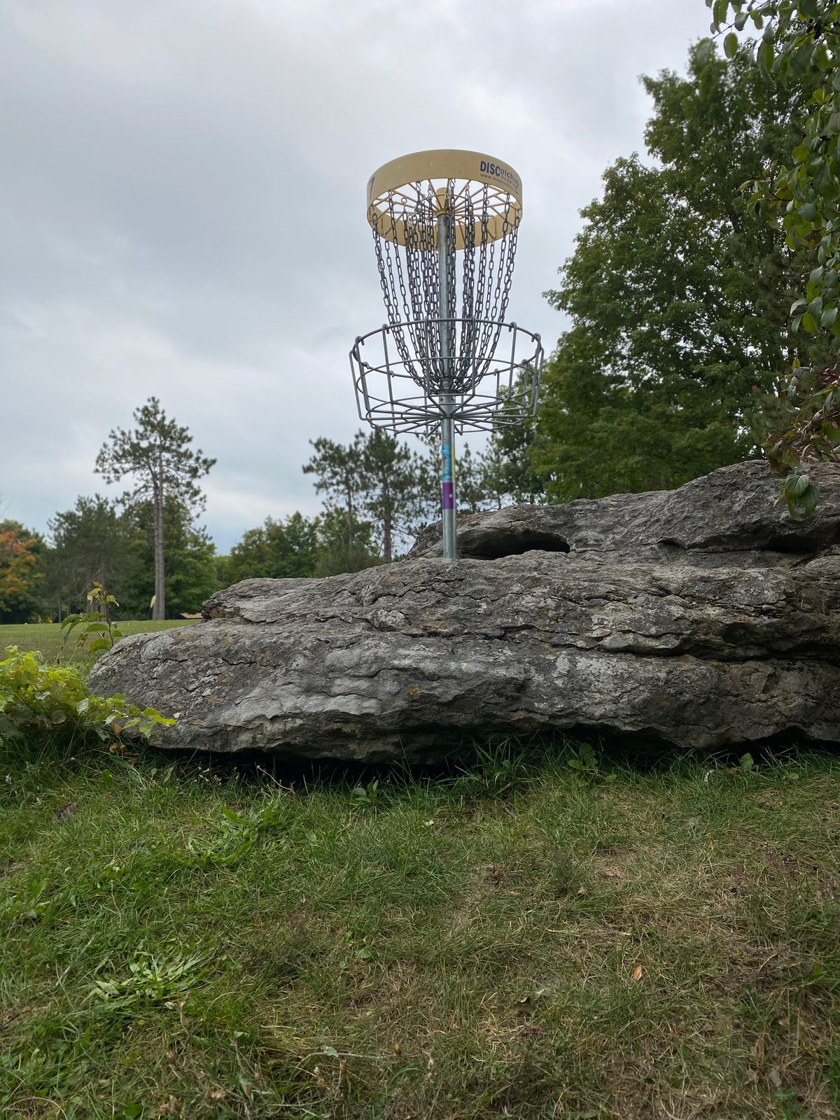 Hole 8s basket