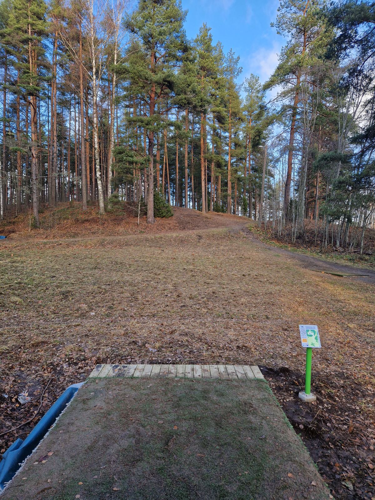 Am tee 8