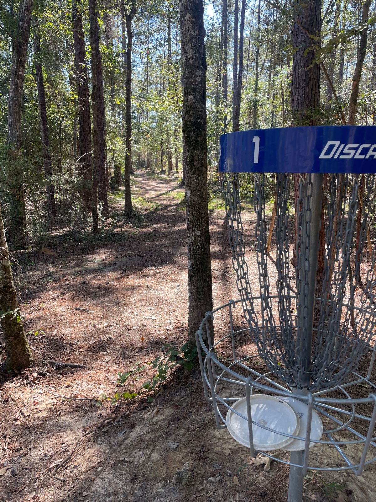 Hole 1 blue basket looking back to tees