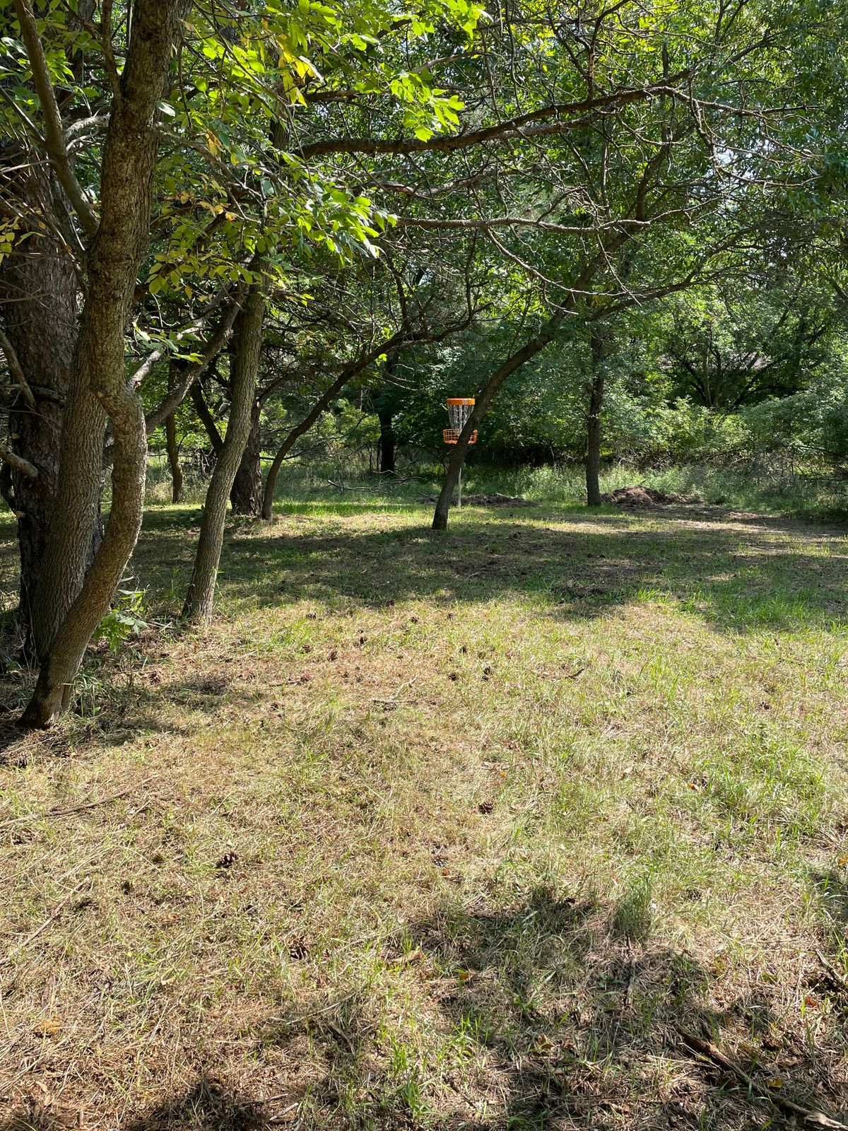 Hole 16 green area